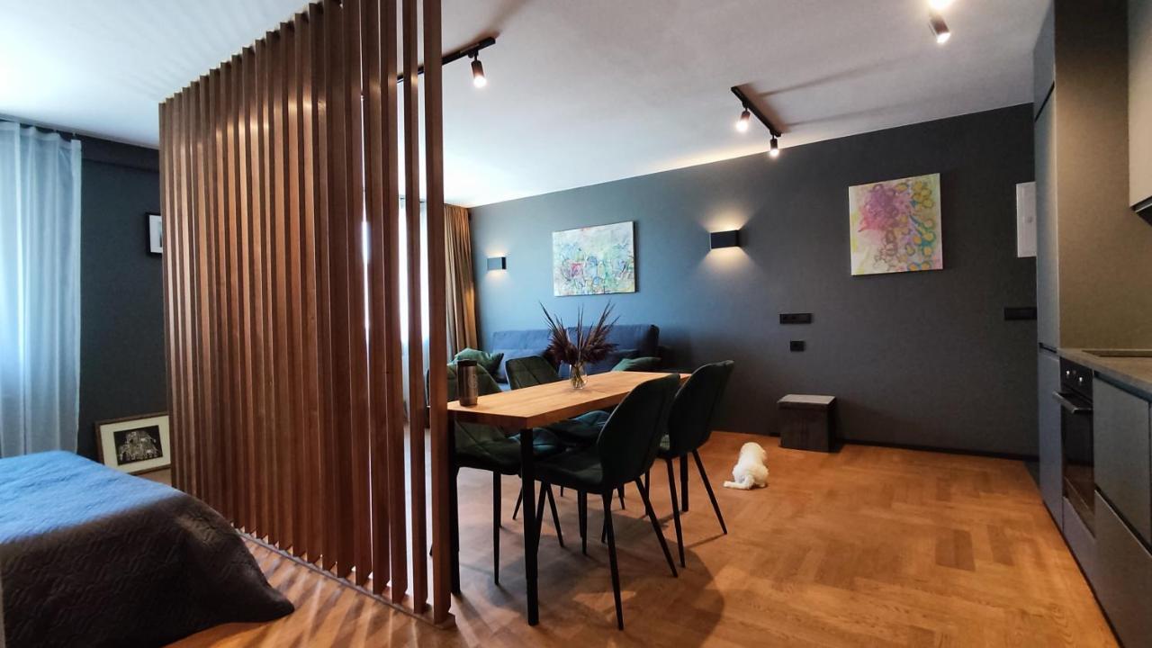 Dabintos Apartament 드루스키닝카이 외부 사진