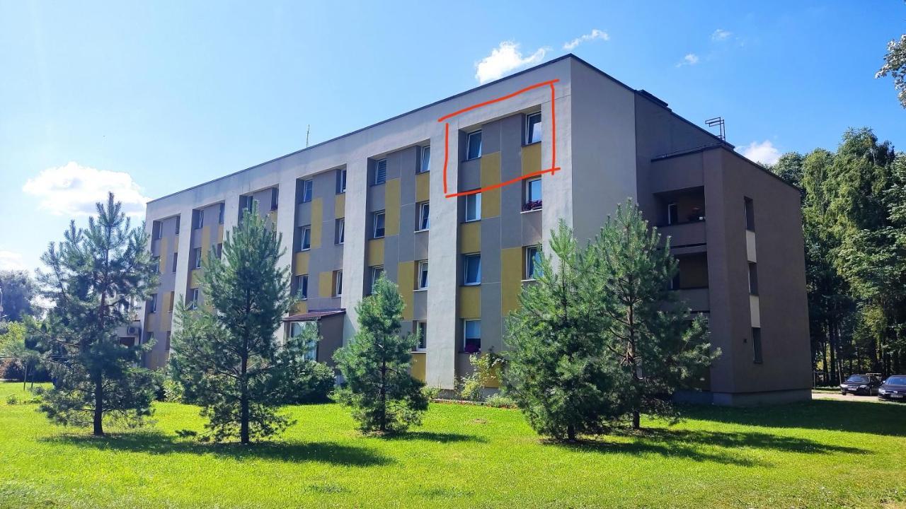 Dabintos Apartament 드루스키닝카이 외부 사진